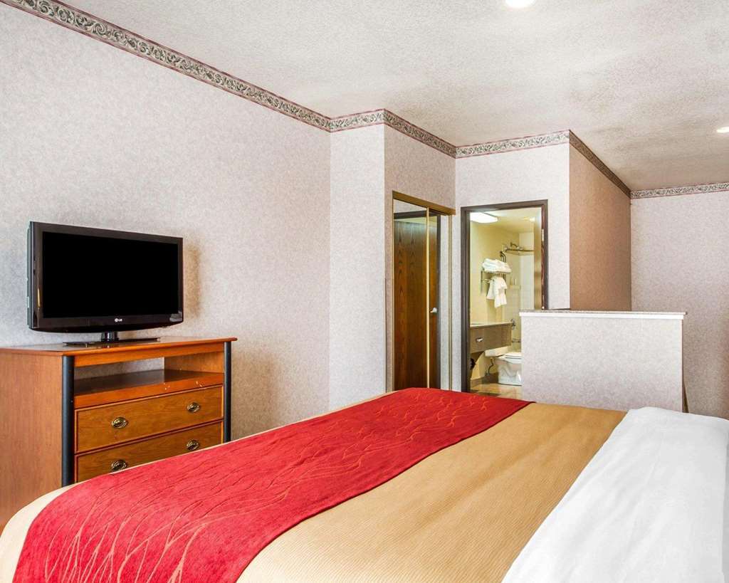 Comfort Inn Lathrop Stockton Airport Pokój zdjęcie